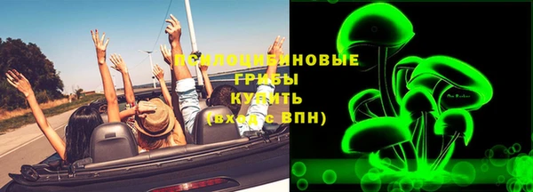 spice Нязепетровск