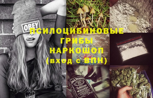 амф Аркадак