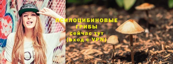 таблы Новодвинск