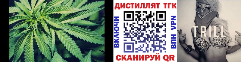 ТГК концентрат  где продают   Комсомольск 