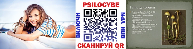 цены   Комсомольск  mega tor  Галлюциногенные грибы Magic Shrooms 